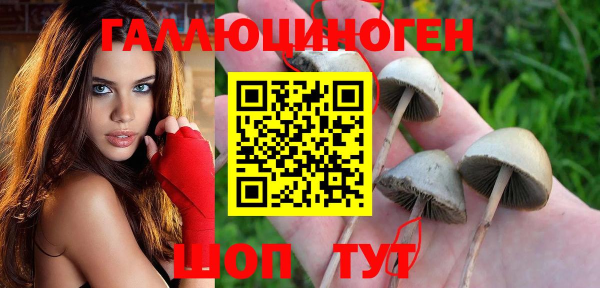 Псилоцибиновые грибы прущие грибы  Вход с VPN  Псилоцибиновые грибы ЛСД  Дальнереченск 